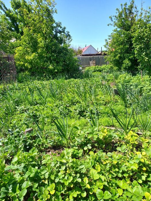 Продам дом В Уральске