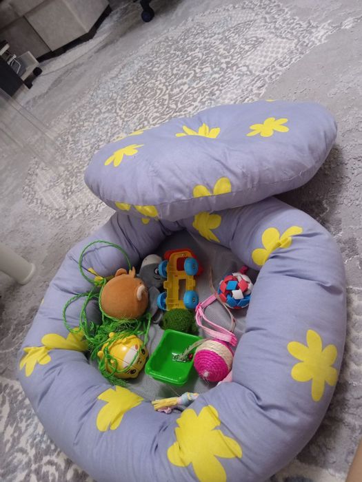 ОТДАМ ДАРОМ своего кота