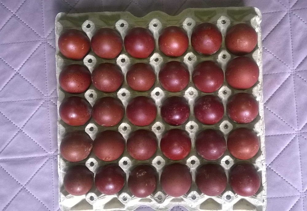 Яйца Черен Мед Маран Кокошка