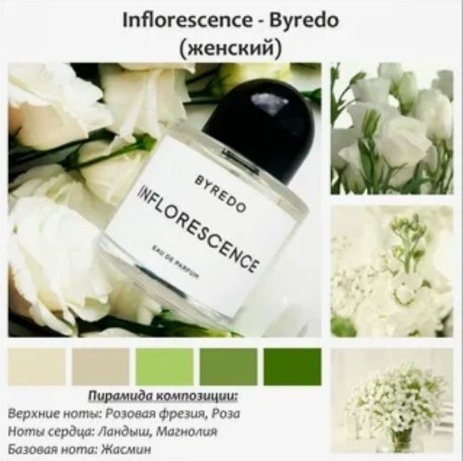 Bydero Inflorescence