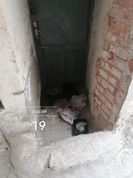 Usi de bloc, metalice sau termopan  usi acces