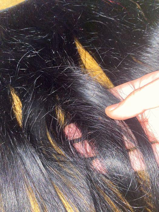 Естествени екстеншъни