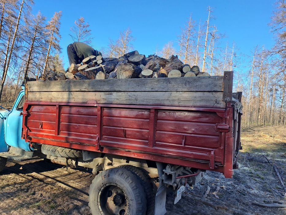 Продам дрова сухой сосна