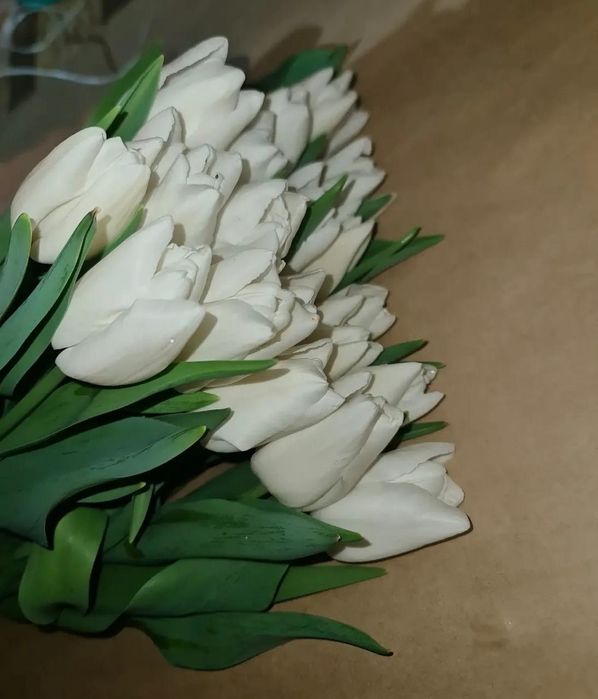 Тюльпаны оптом и в розницу