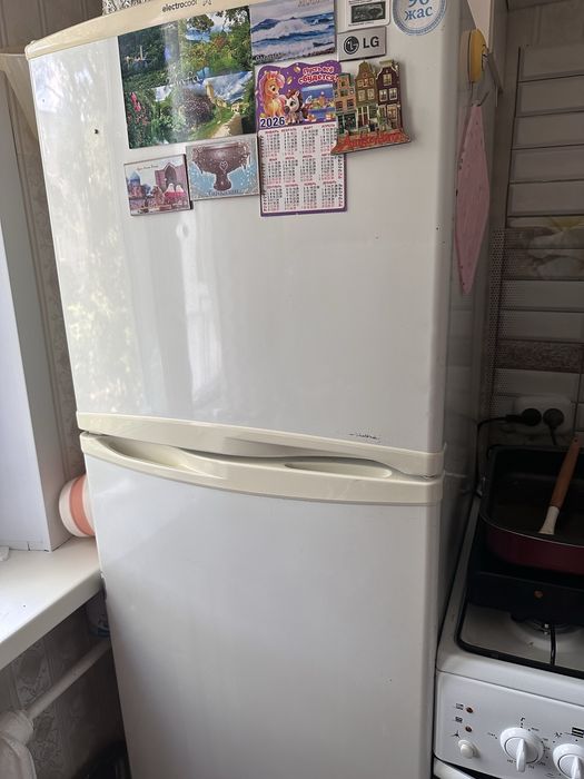 холодильник Electrocool