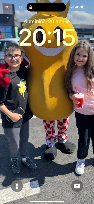 Demolari case ,anexe,debarasari cu miniexcavator,miniincarcator etc