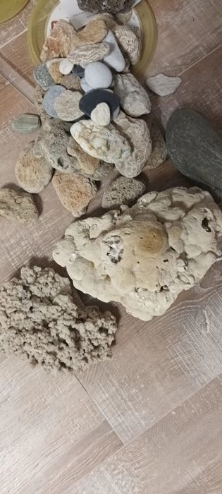 Accesorii acvariu/ terariu