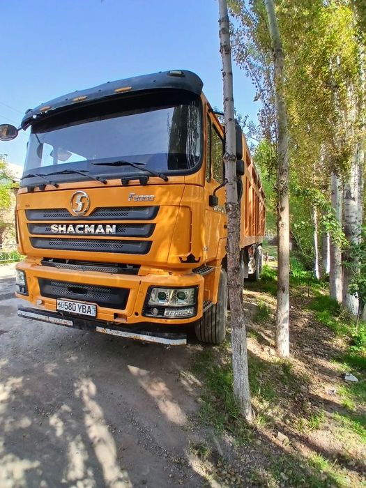Чакман самасвал сараканошка