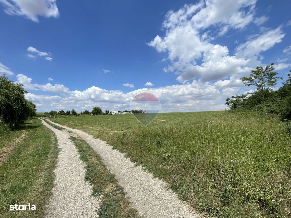 Teren 4.350 mp langa Balta Pasarea, Frumusani
