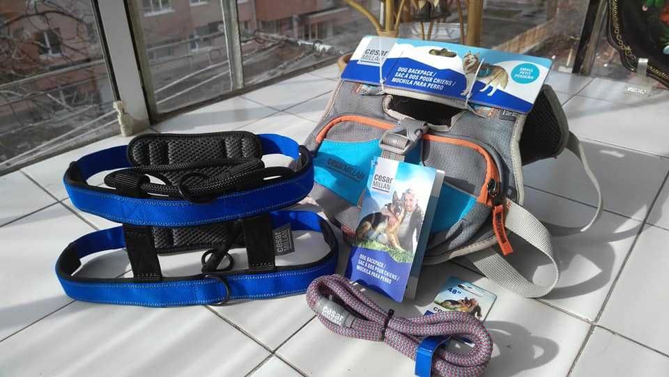 Колан One Tigris подръжка за средни до големи кучета, с три дръжки