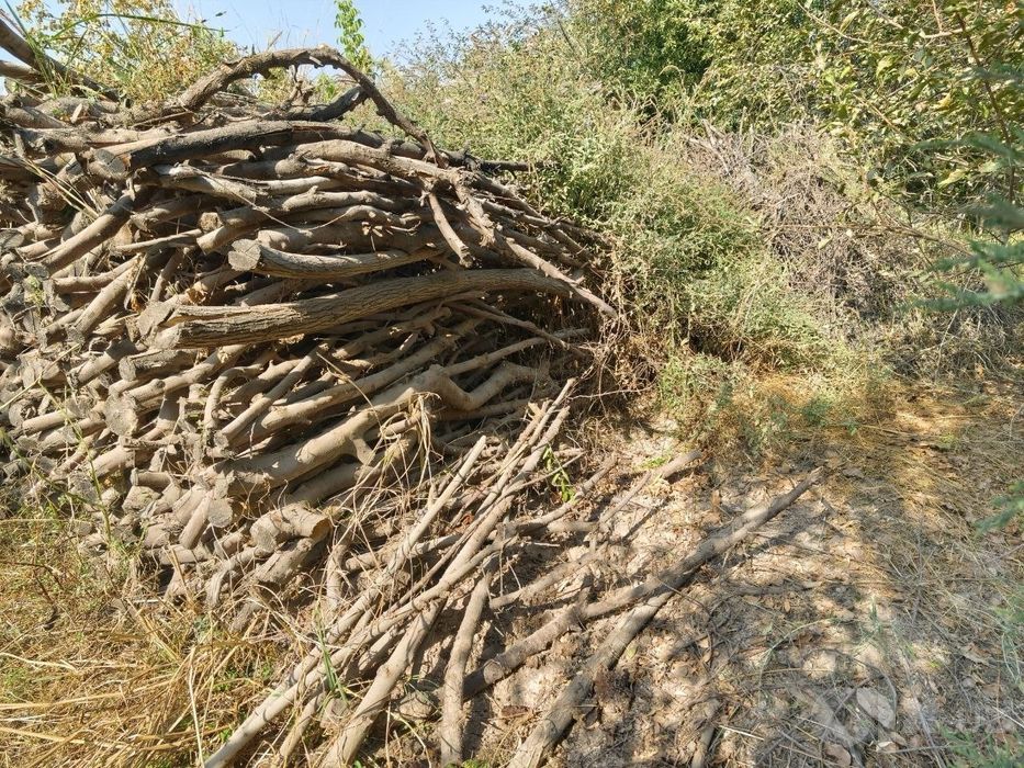 O‘tin sotiladi denov