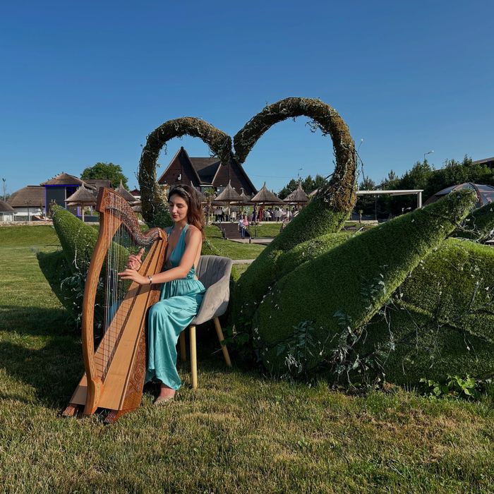 Harpă la evenimente