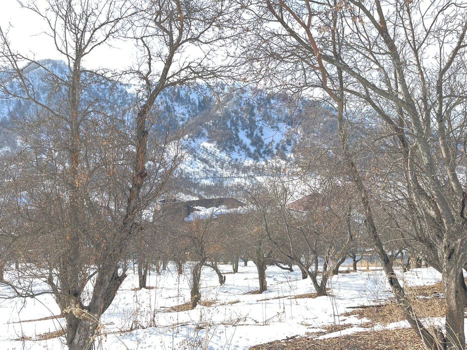 Земельный участок на Бутаковке