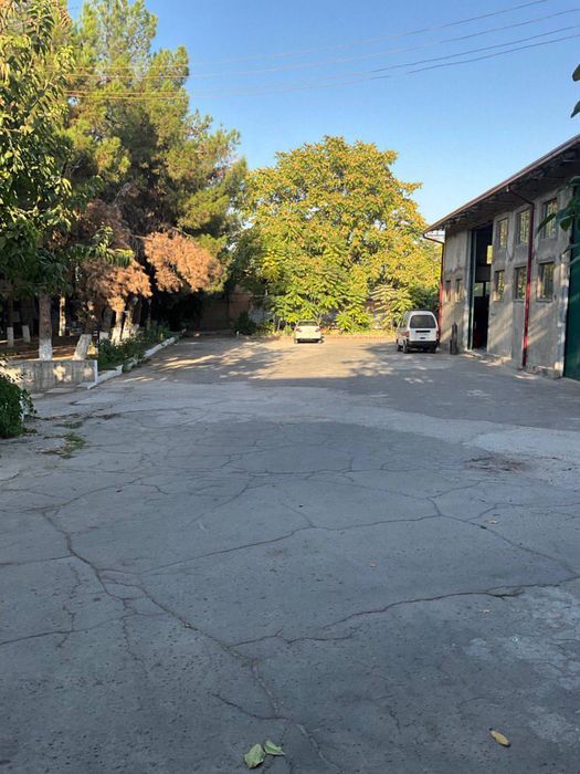 ЗЕМЛЯ вдоль дороги на 1 ГА, Сергели  идельно под строительство, #база