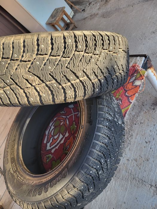 Автошины зимние с шипами