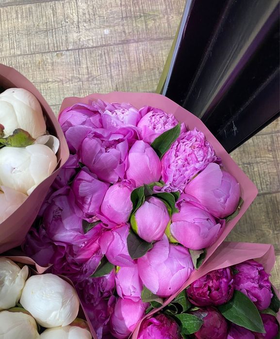 Пионы оптом и розницу