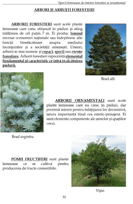 Carte Dendrologie 2016. Specii lemnoase de interes forestier ...