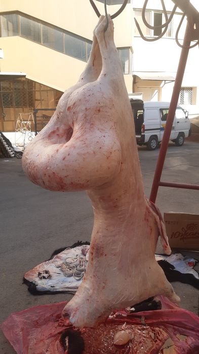 Qassob xizmati Qassob service Кассоб хизмати .