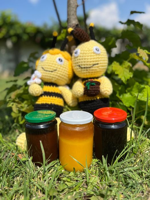 Пчелен манов мед