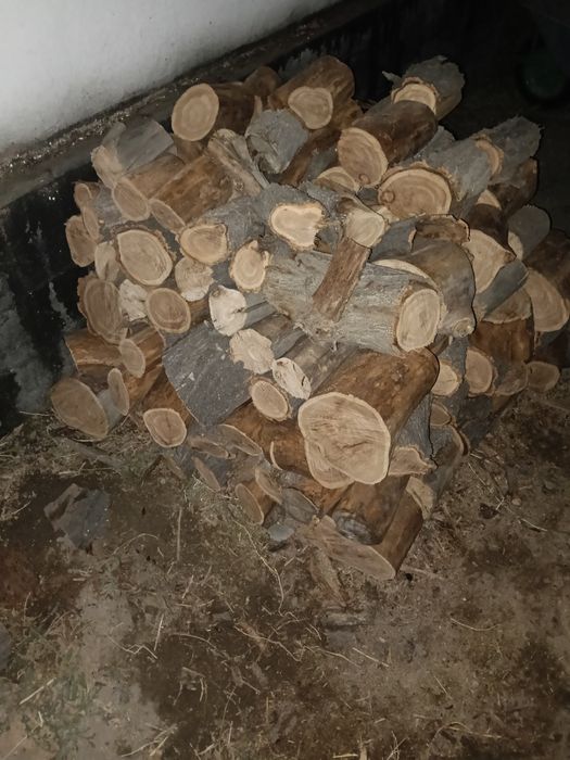 Продам дрова карагач