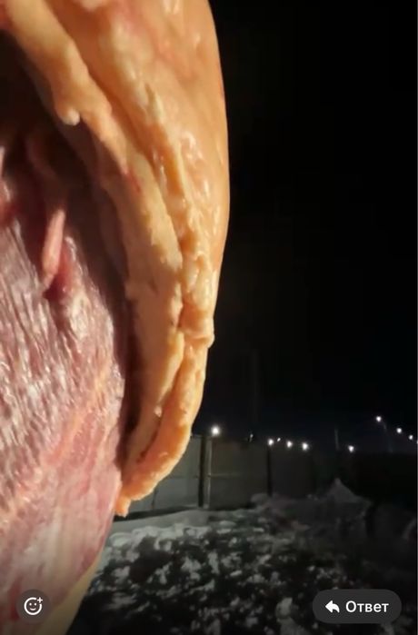 Касапшы резка скота