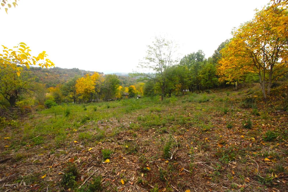 Продава се Парцел в с. Костенковци, Област Габрово - 1500 кв.м за 7 €/кв.м - Снимка #4