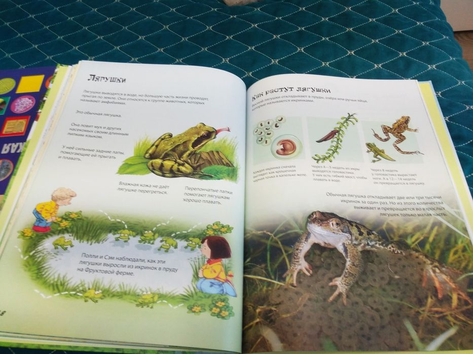 Книга для детей о природе