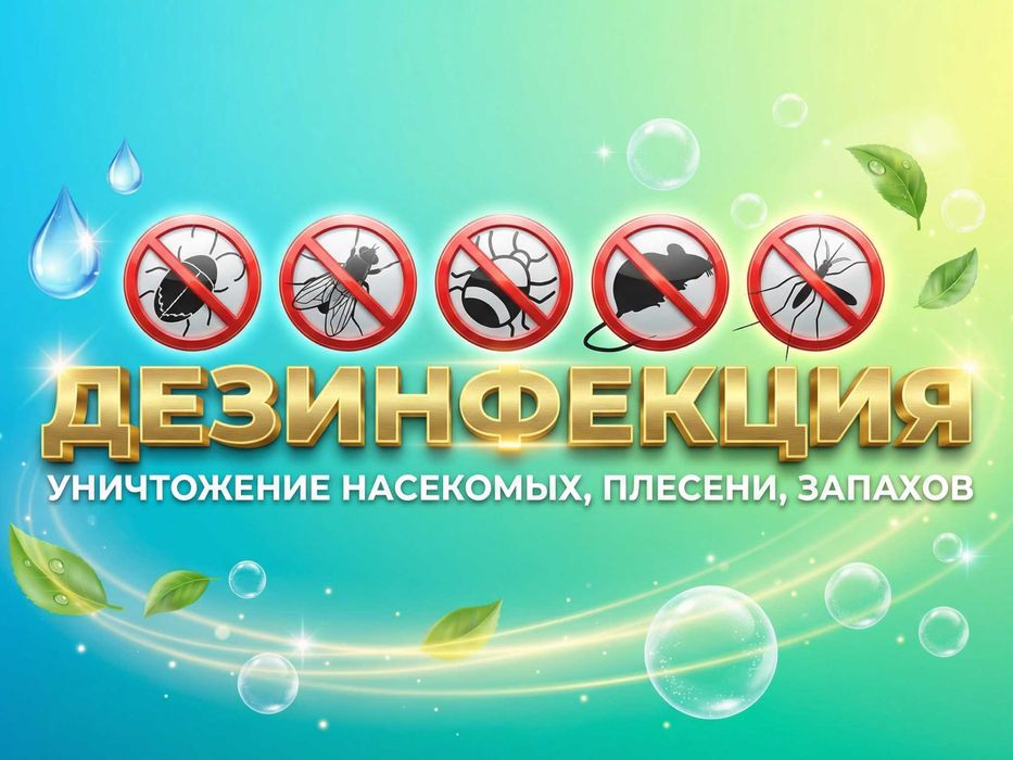 Удаление, выведение плесени и грибка. Озонирование помещений