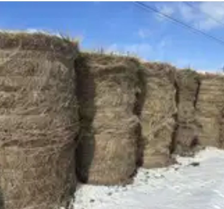 Шөп сатылады қырдың