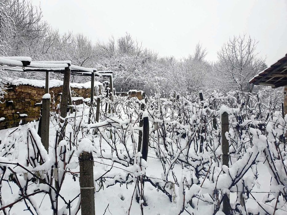 Продава се Къща в с. Горски горен Тръмбеш, Област Велико Търново - 100 кв.м за 255 €/кв.м - Снимка #17