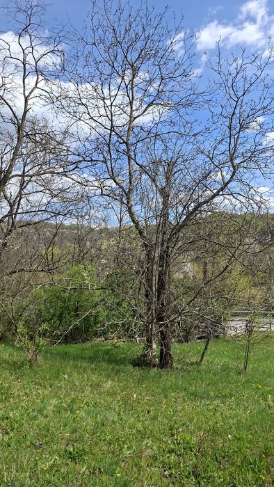 Teren Valea laşului - Strada Principală (DN73C) - PUZ Aprobat - Zonă Liniştită