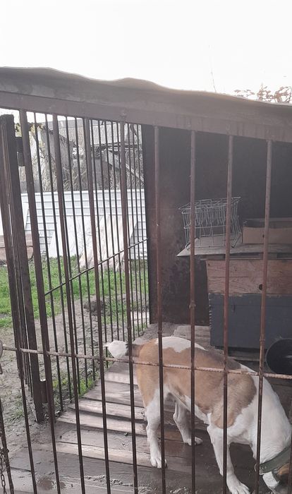 Вольер новый, большой