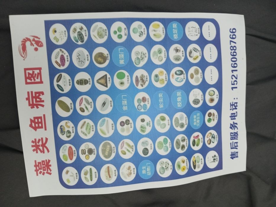 микроскоп  набор 80000 лоболоторие