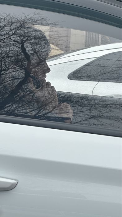 Листогиб размер 265