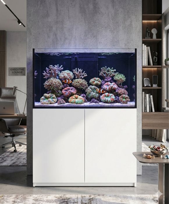 Morskoy akvarium