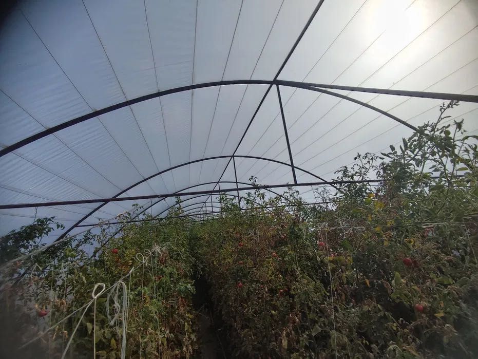 Полиетиленови оранжерии 2 броя