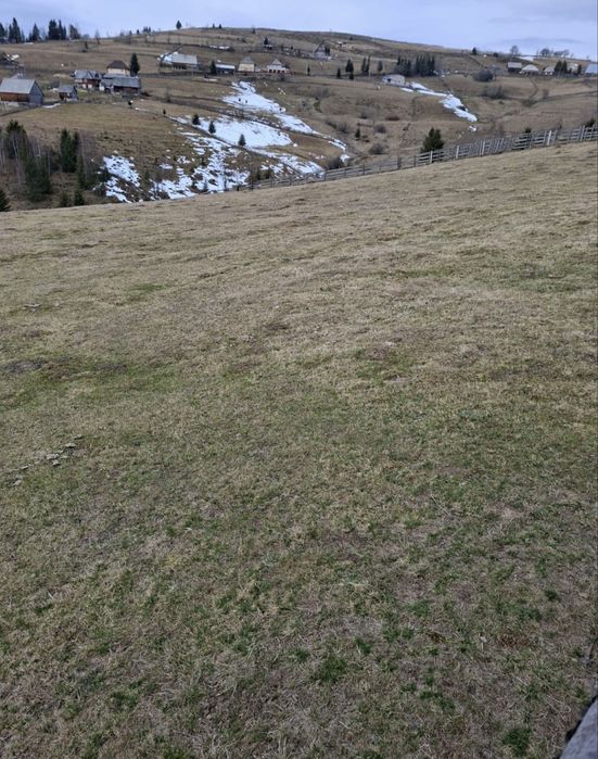 Vând teren in Maguri ( se poate parcela) !