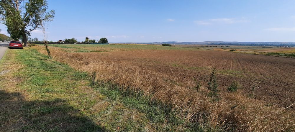 Teren 6000mp Bogdan Voda-A7-centura Bacau - Vedere 4