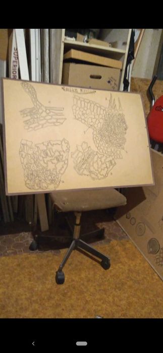 Ретро плакати ботаника