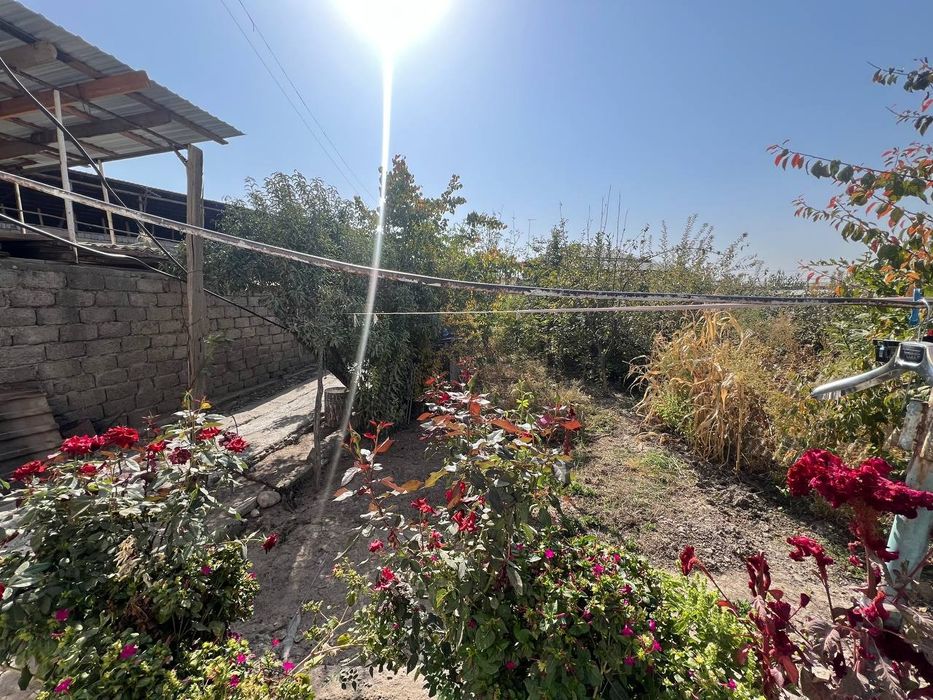 Yengi O'zbekiston bog'i