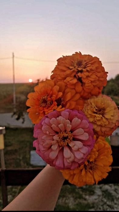 Продава се Къща в с. Крумово, Област Варна - 240 кв.м за 1167 €/кв.м - Снимка #12