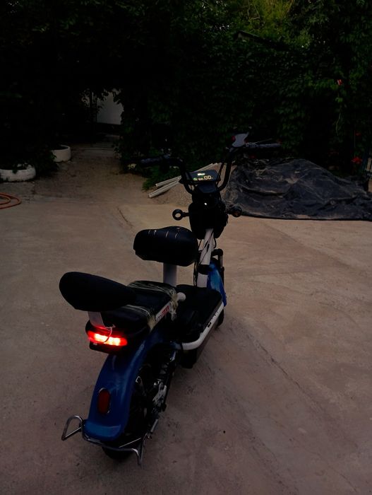 Залог жок бляд...