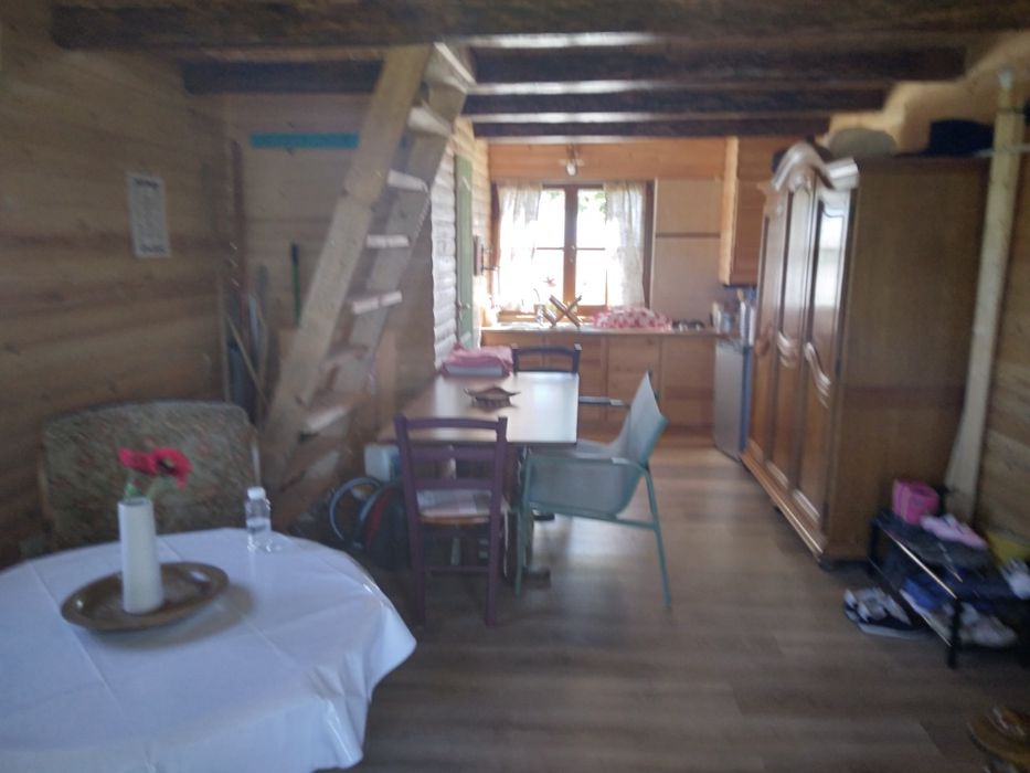 Vand casa la munte, in Dulcele, com. Gurahont, jud. Arad