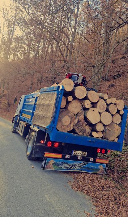 Lemn foc fag Transport