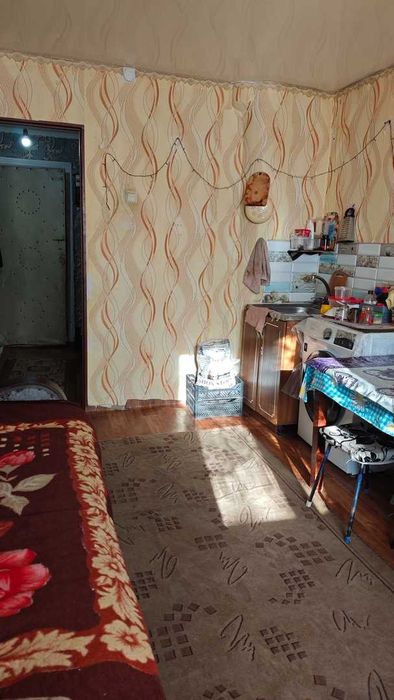 1 комнатная квартира БОРКИ