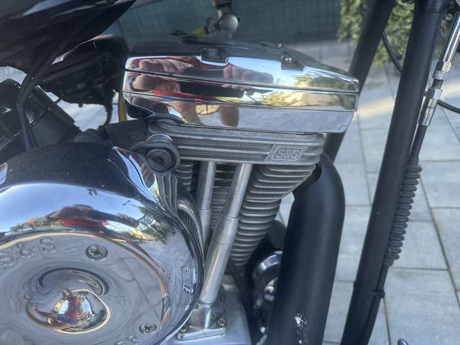 Harley Davidson Soft tail