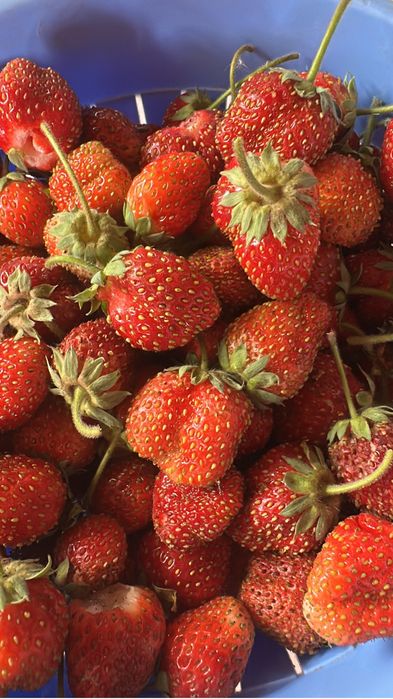 Продам дачу на Спутнике.4 остановка.