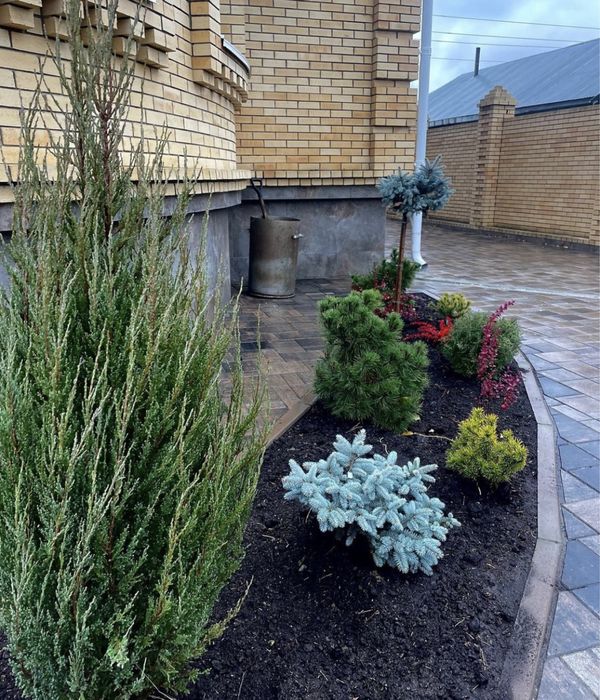 Газон евро ландшафт