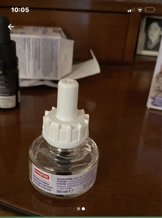 No stress ptr pisici