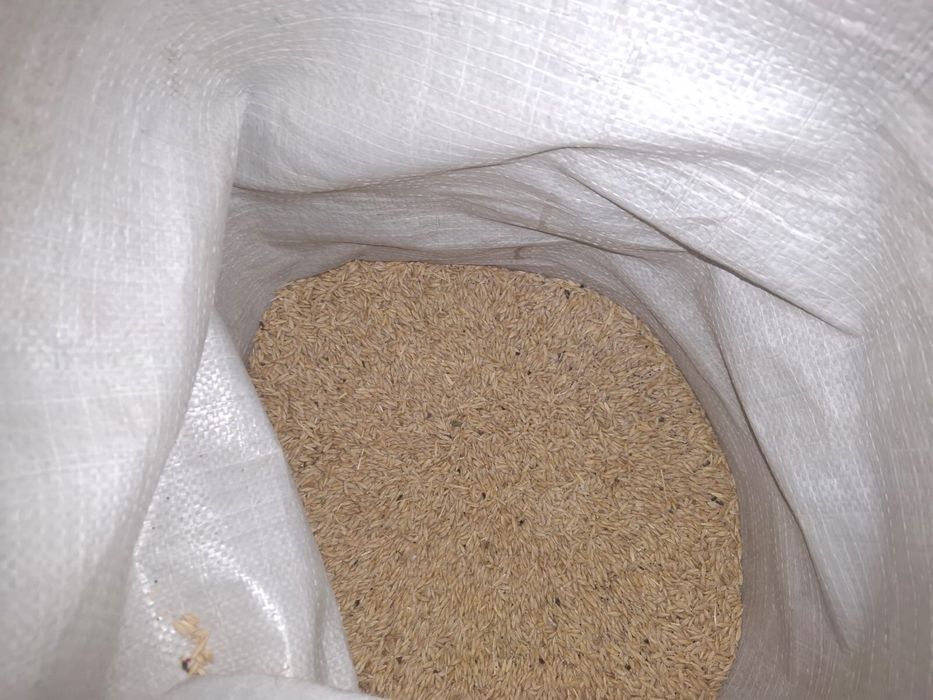 Ячмень 1 Тонна